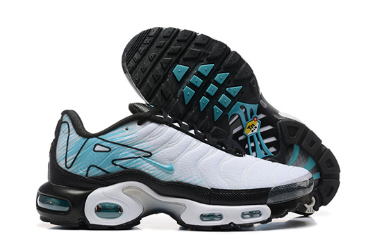 a8e58466-Air-Max-Plus-20260819.jpg