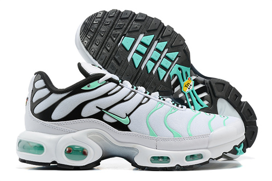 b9062b61-Air-Max-Plus-20260819.jpg