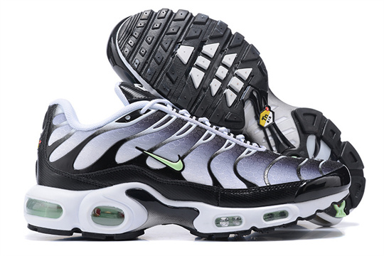 f0210268-Air-Max-Plus-20260819.jpg